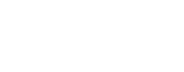 logo promo