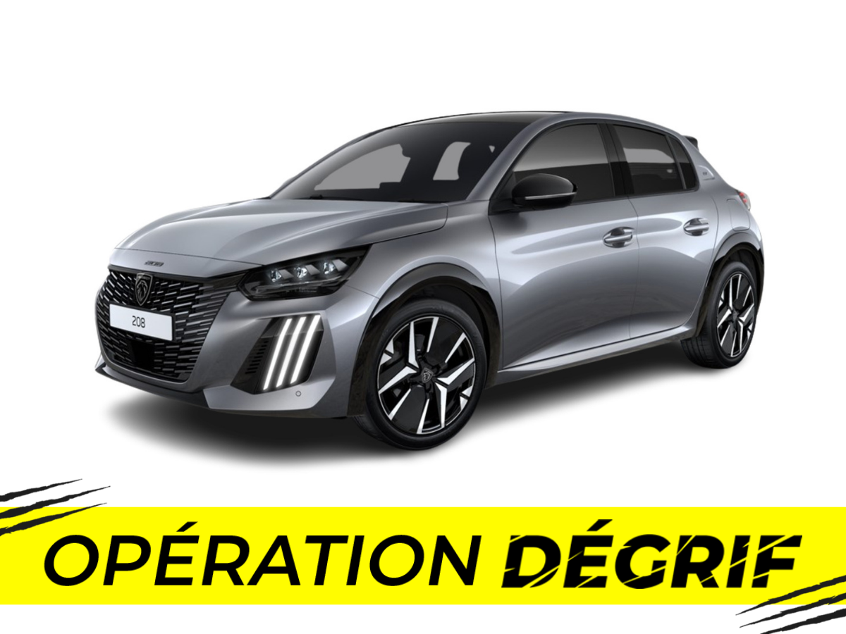 208 Hybrid 110 e-DCS6