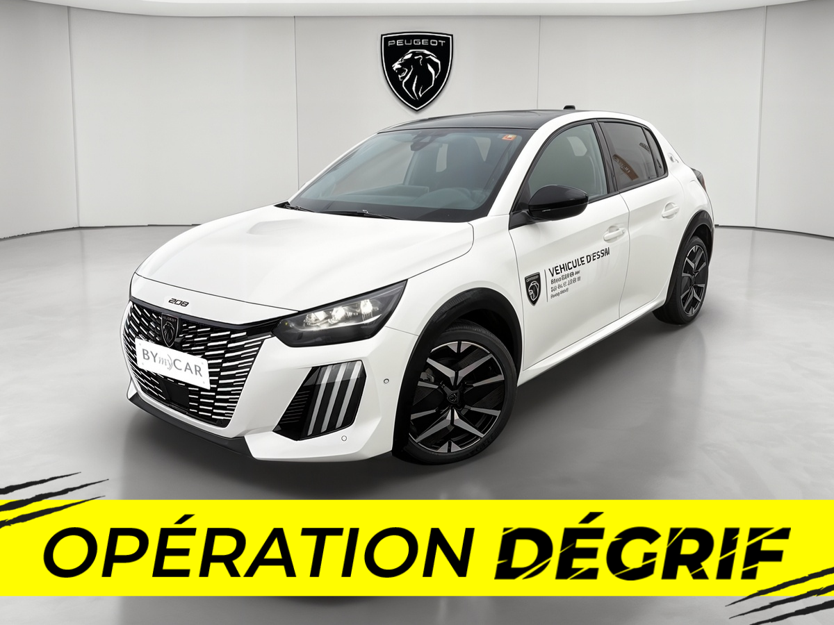 208 Hybrid 100 e-DCS6