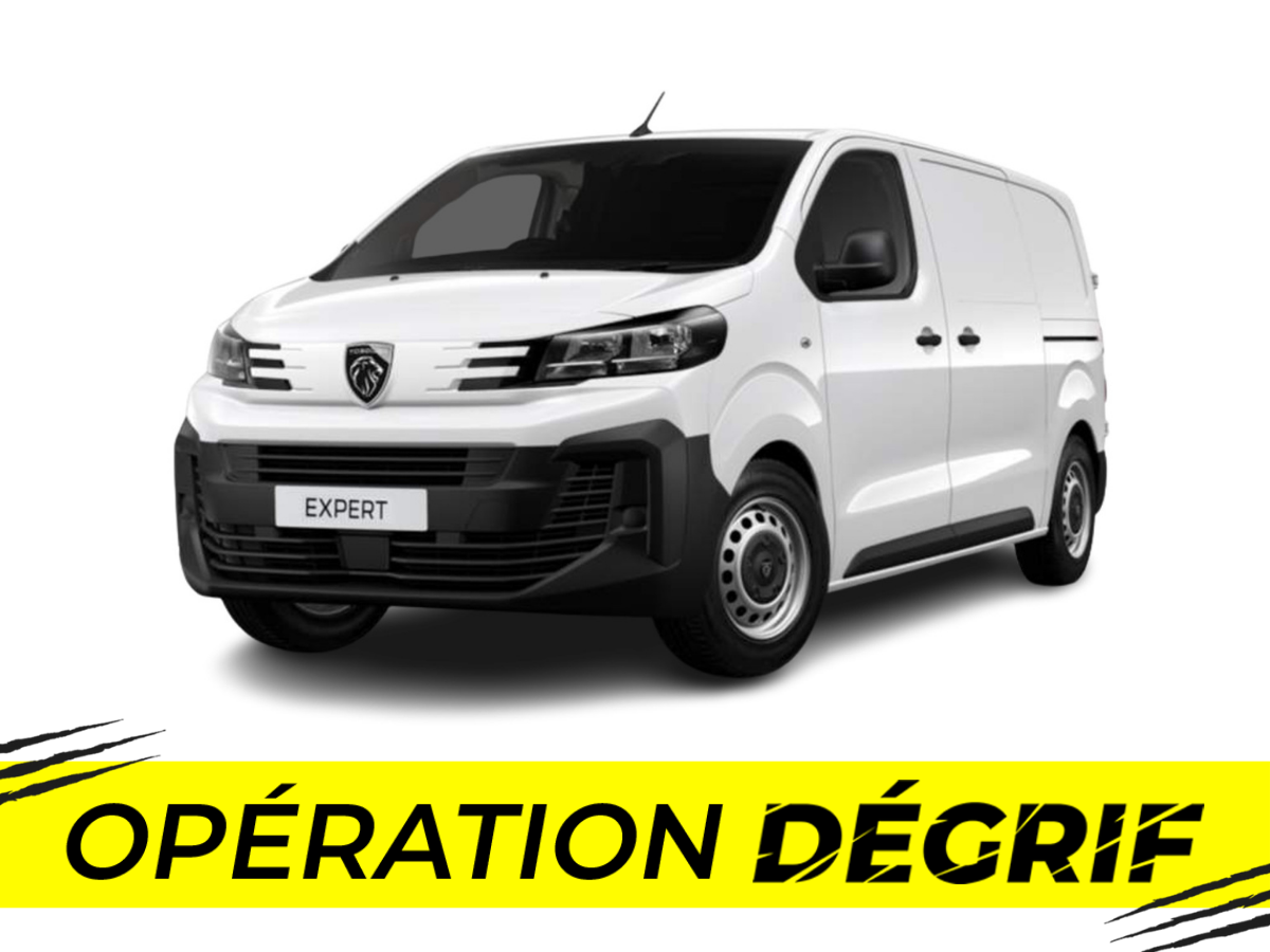 EXPERT FGN XL BLUEHDI 145 BVM6