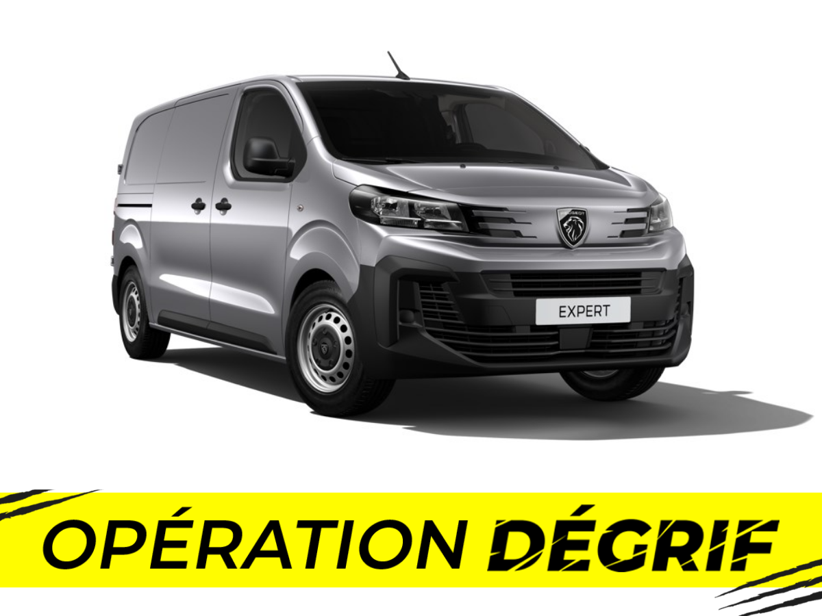 EXPERT FGN M BLUEHDI 145 S&S EAT8