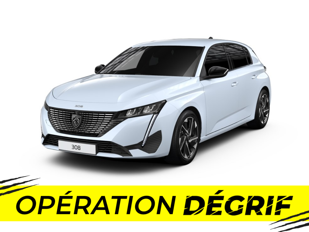 308 Hybrid 145 e-DCS6