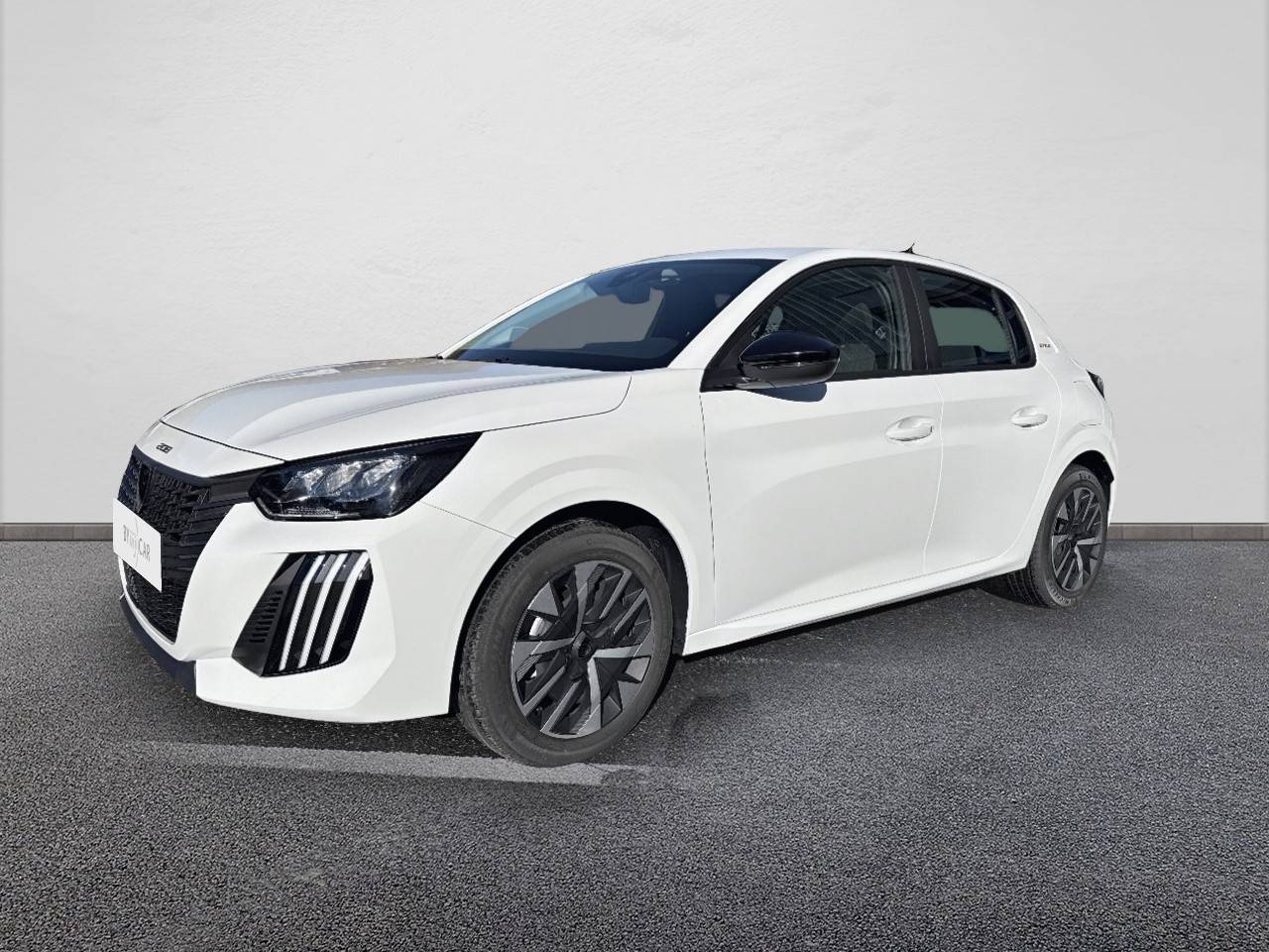 208 Electrique 50 kWh 136ch