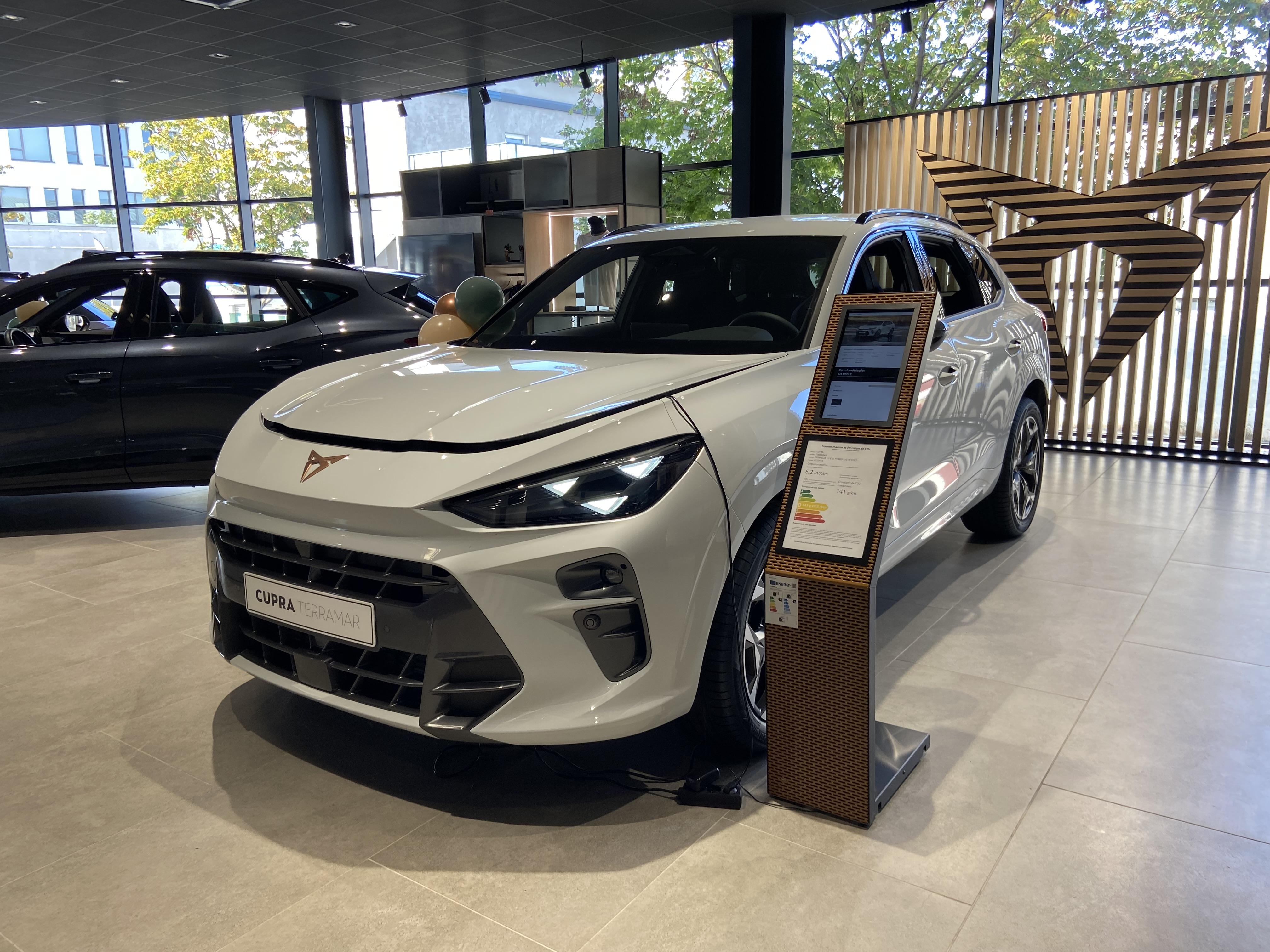 Terramar 1.5 eTSI Hybrid 150 ch DSG7