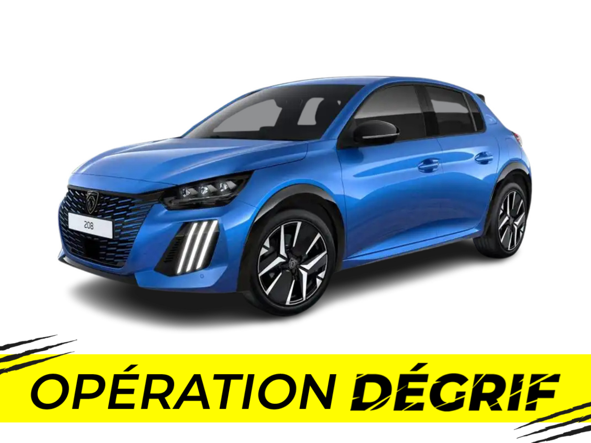 208 Hybrid 110 e-DCS6