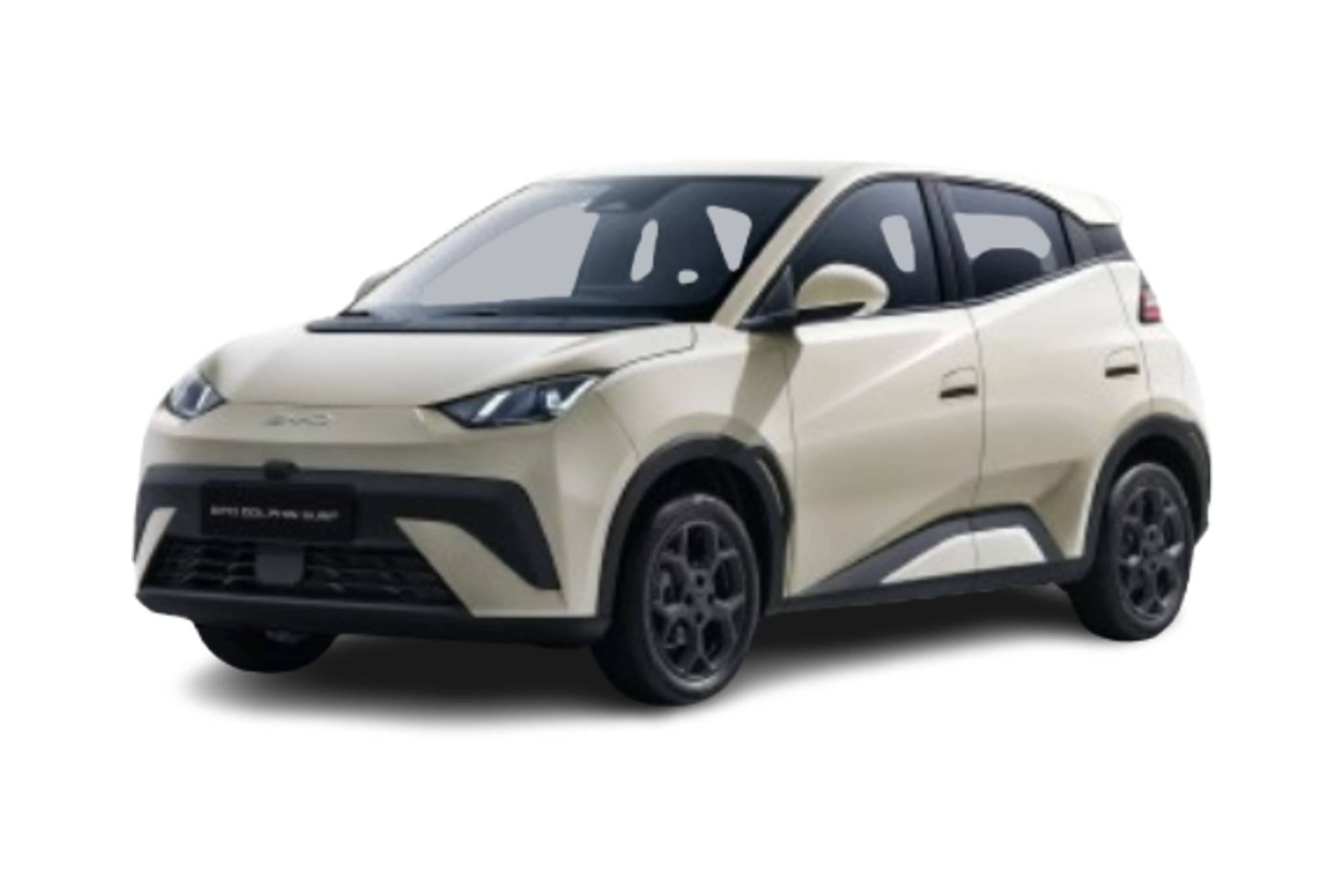 Dolphin Surf 43.2 kWh 88 ch