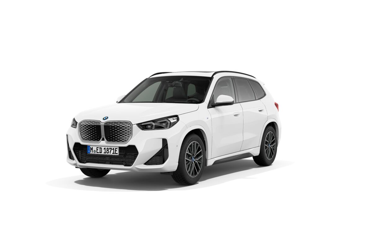 iX1 xDrive30 313ch BVA
