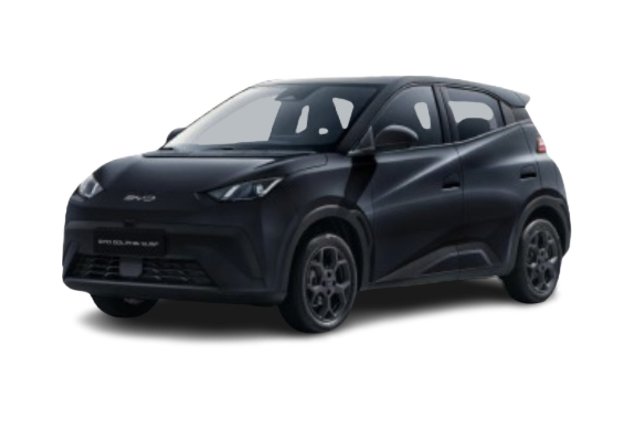 Dolphin Surf 43.2 kWh 88 ch