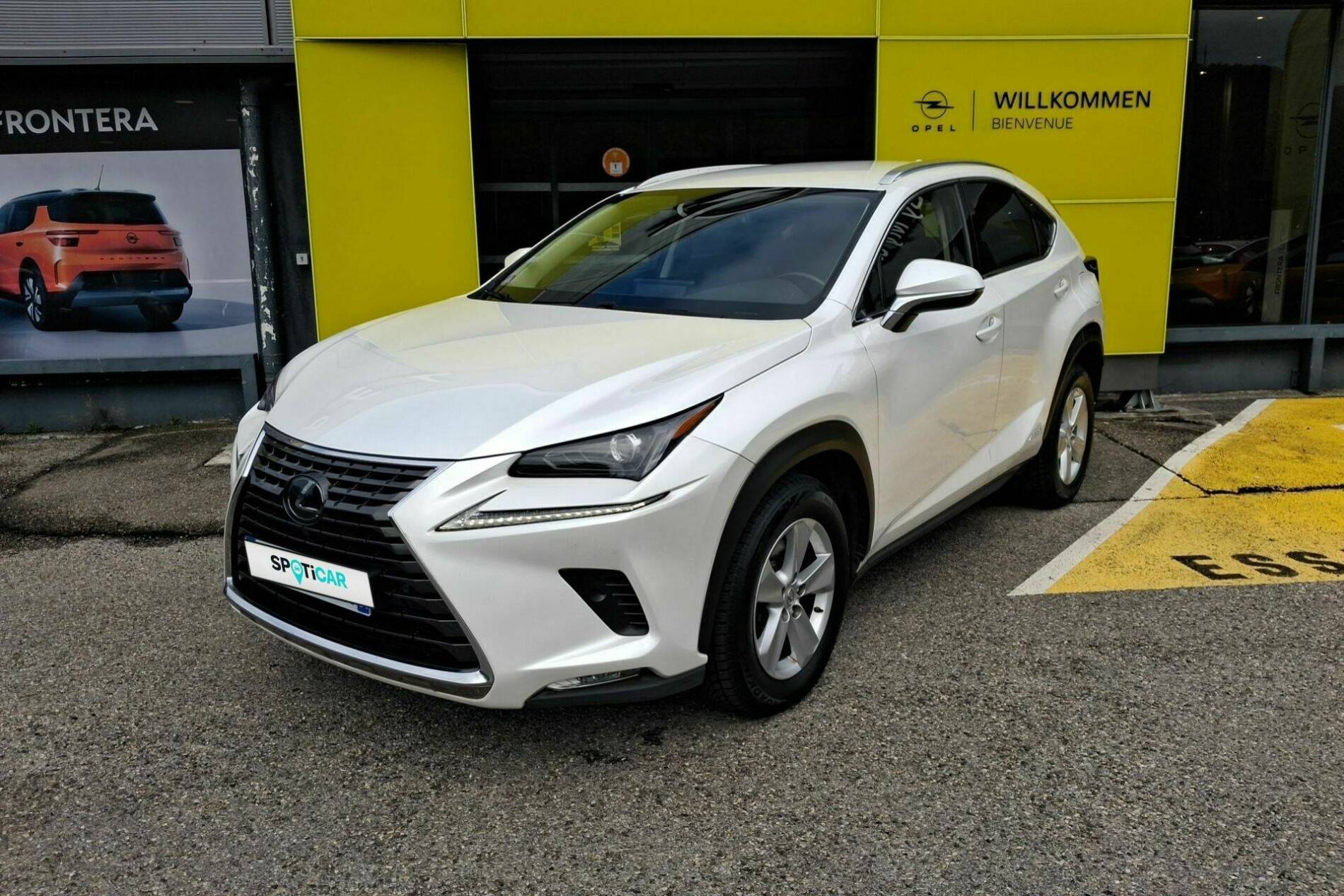 NX 300h 4WD