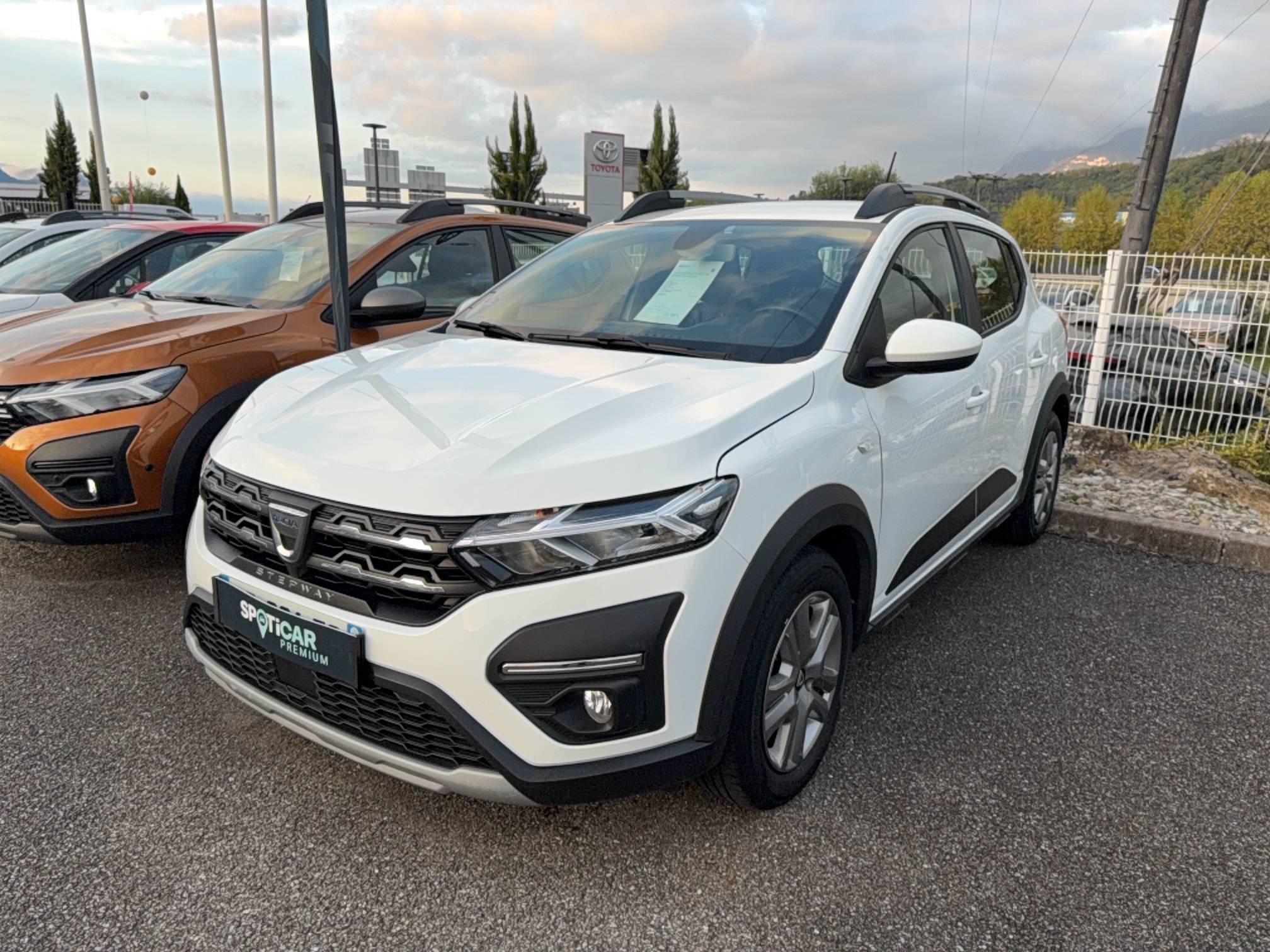 Sandero ECO-G 100