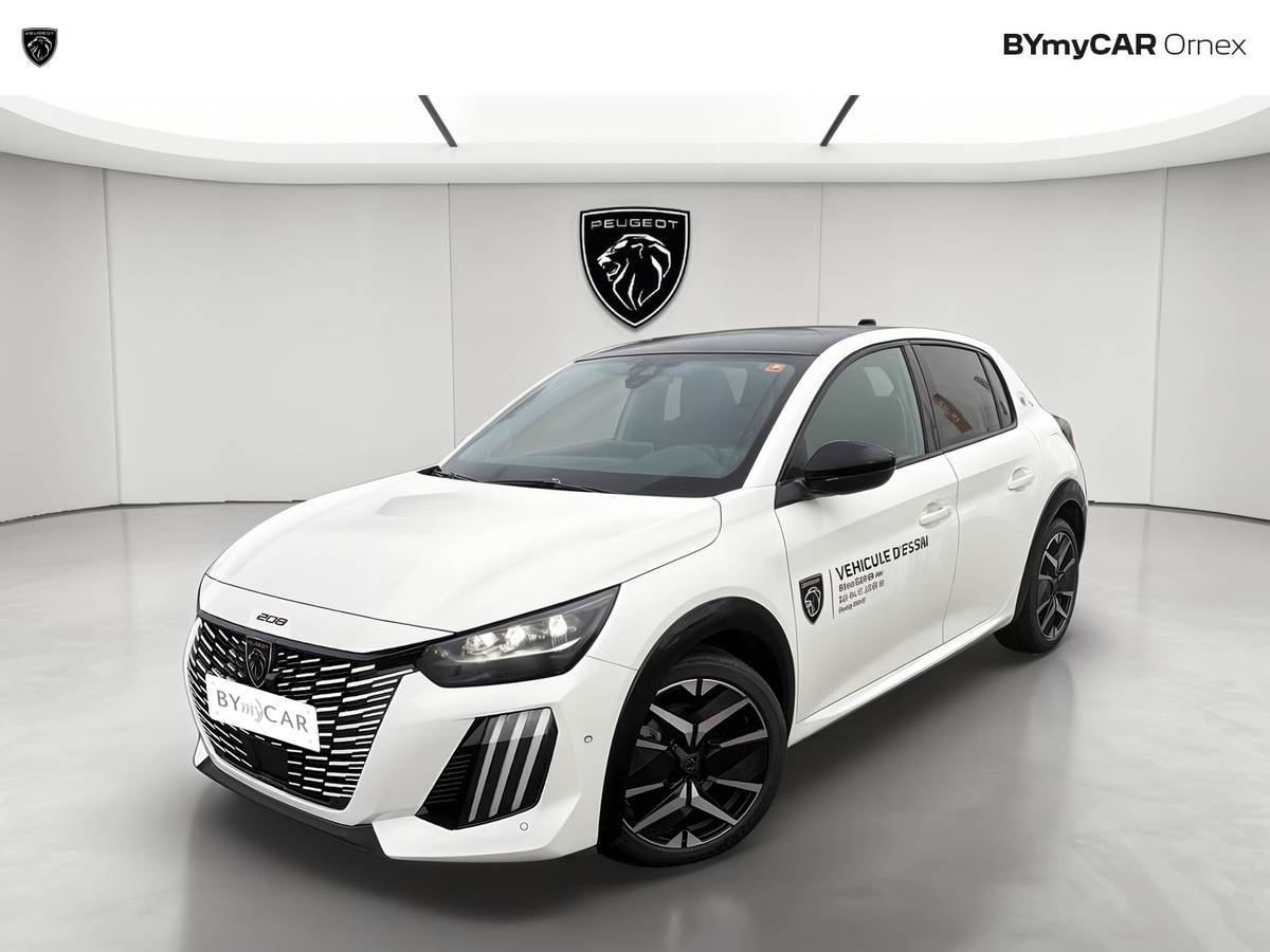 208 Hybrid 100 e-DCS6