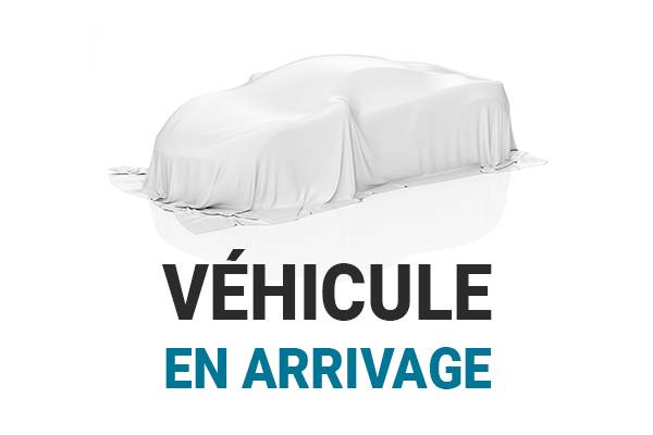 500 1.0 70 ch Hybride BSG S/S