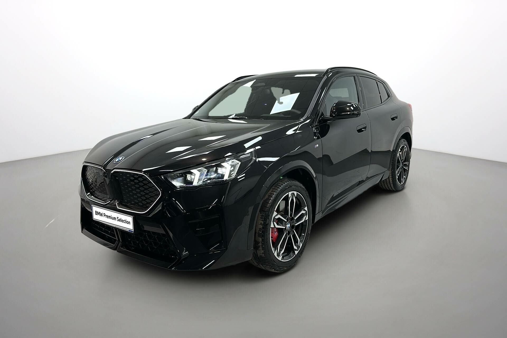 iX2 eDrive20 204ch BVA