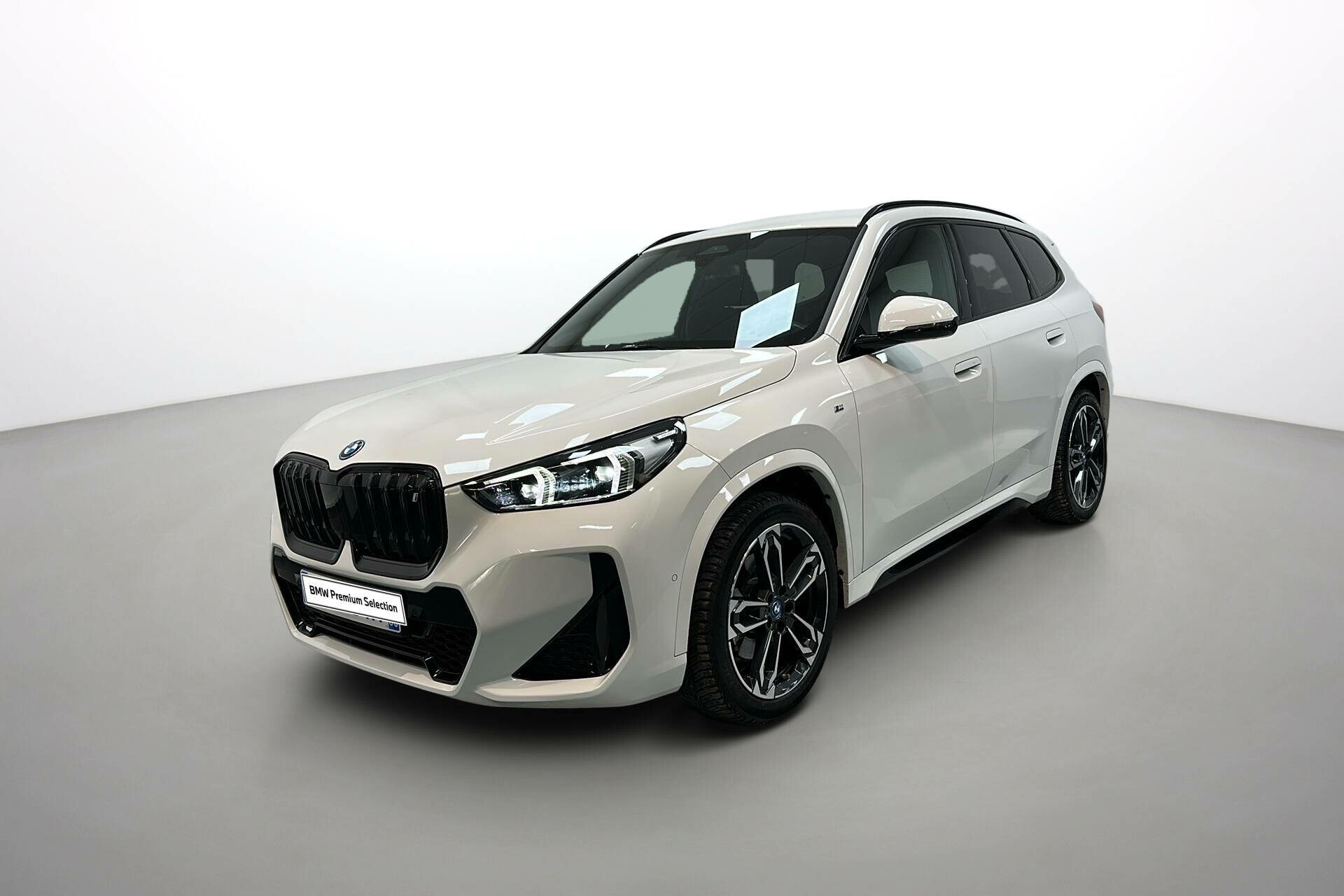 iX1 xDrive30 313ch BVA
