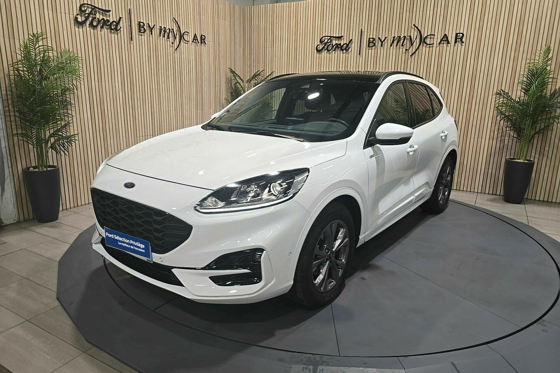 Kuga 2.5 Duratec 190 ch FlexiFuel FHEV E85 Powershift