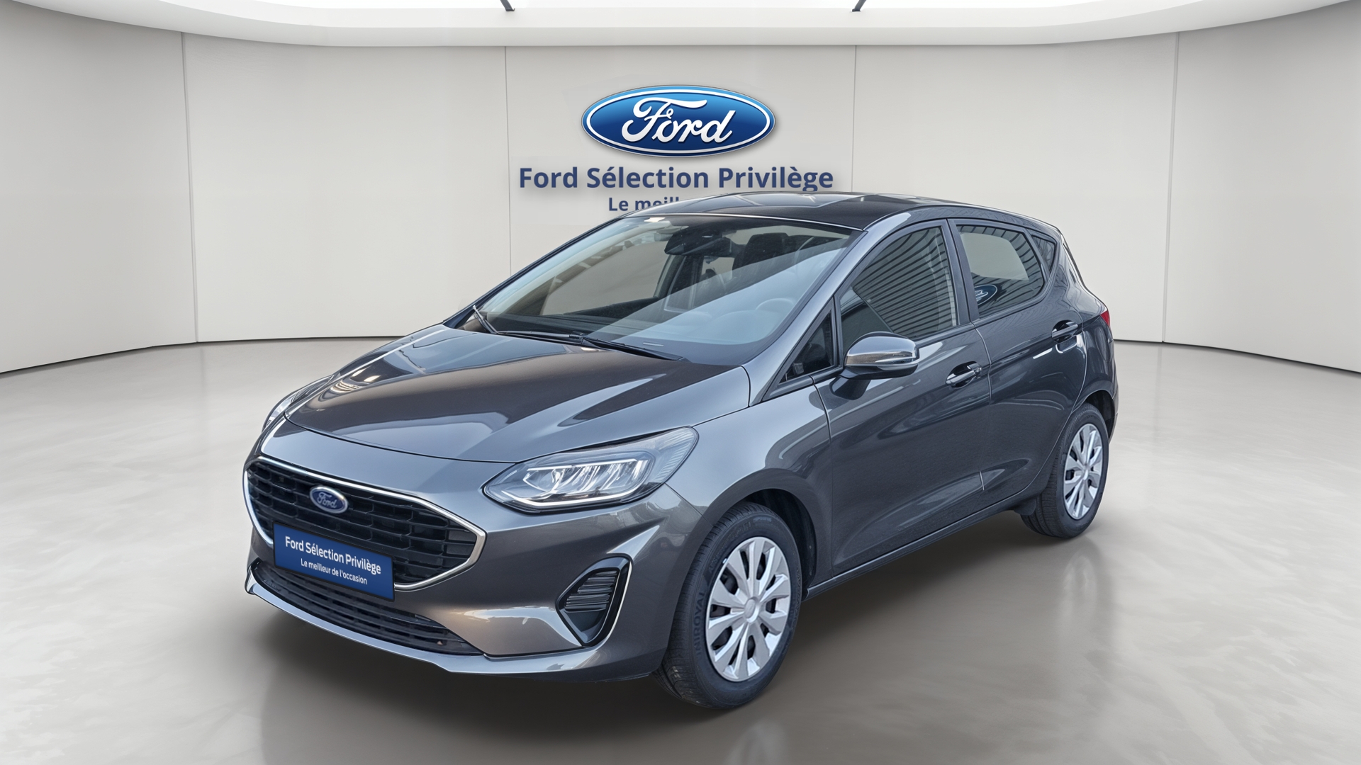 Fiesta 1.0 Flexifuel 95 ch S&S BVM6