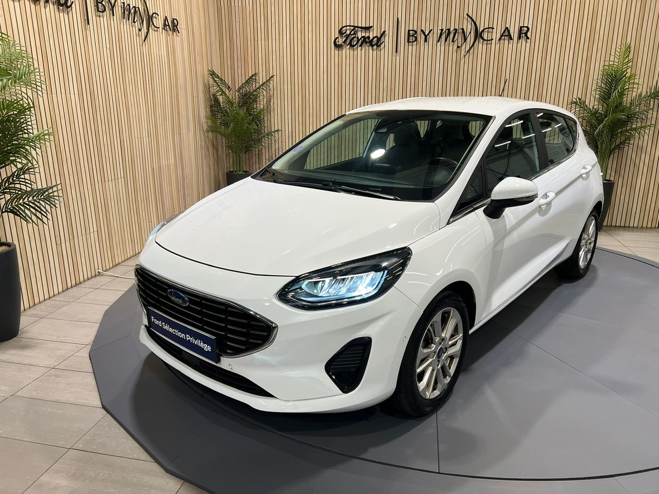 Fiesta 1.0 Flexifuel 95 ch S&S BVM6