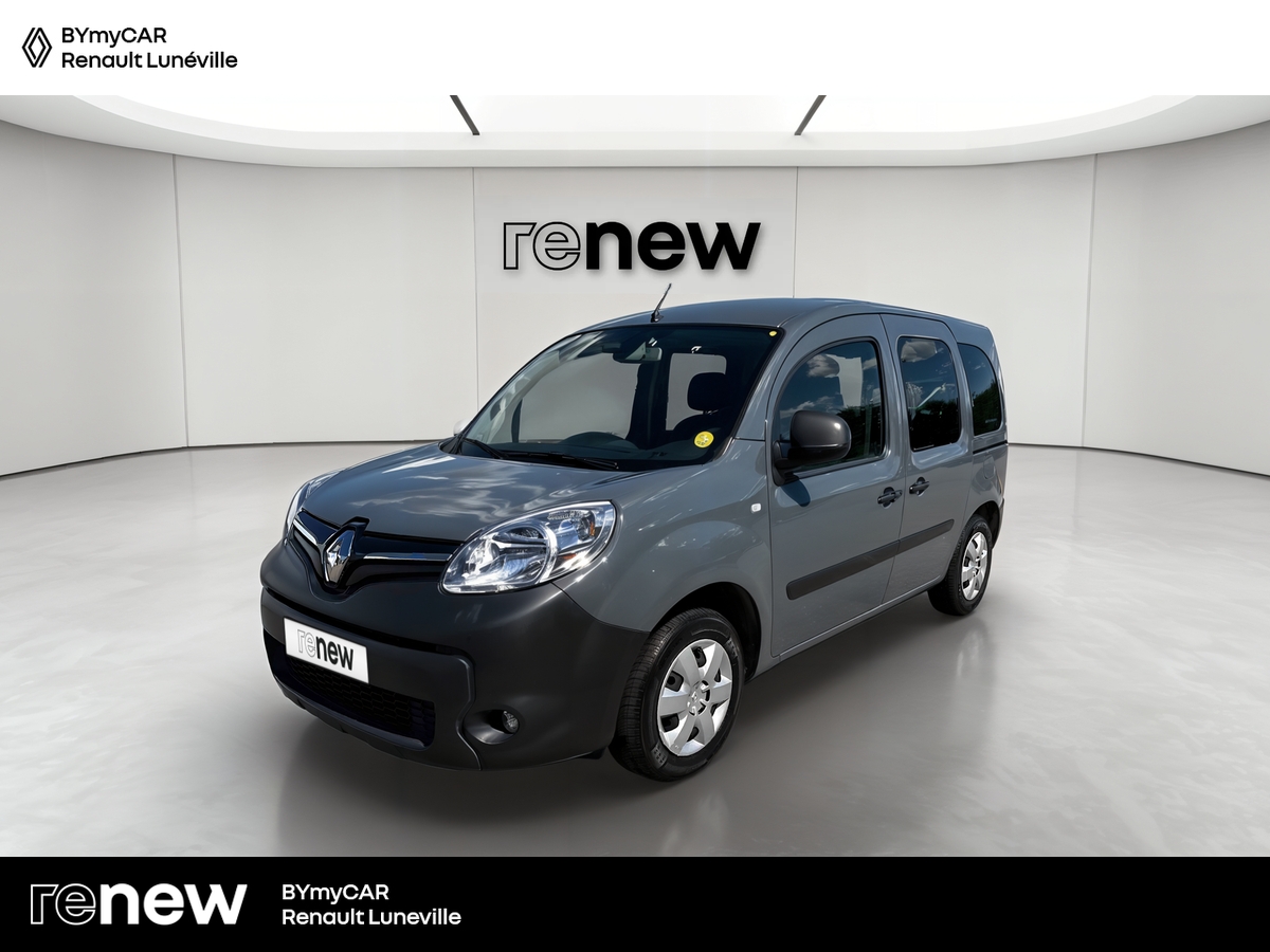 Kangoo Blue dCi 95